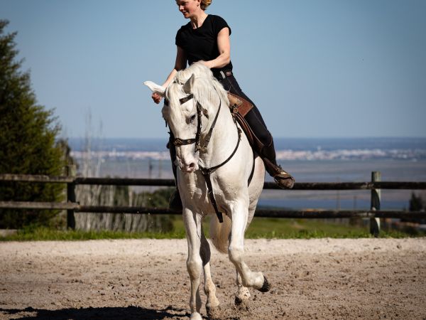 Baptismo Equestre Experience