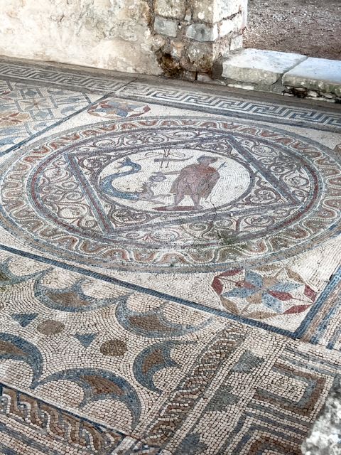 Conímbriga e Património Romano
