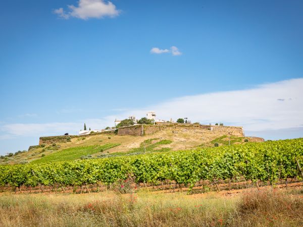 Estremoz, Evoramonte and Cork