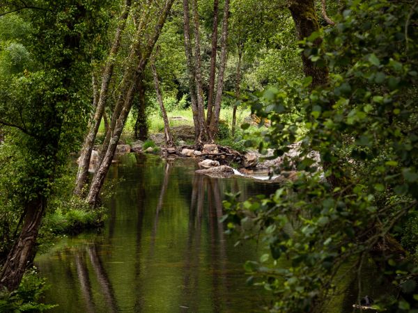 Fragas de São Simão
