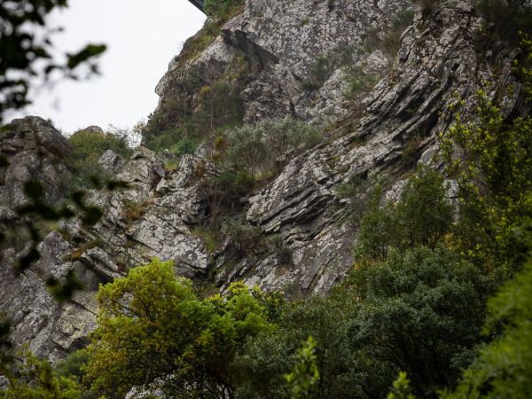 Fragas de São Simão