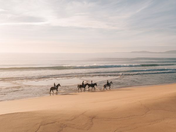 Horseback Riding at Comporta beach