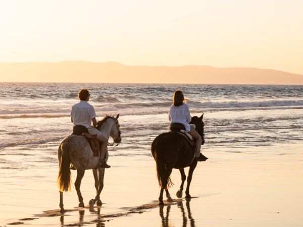 Horseback Riding at Comporta beach