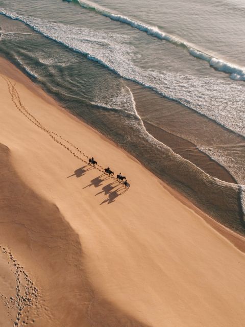 Horseback Riding at Comporta beach