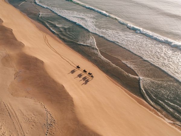 Horseback Riding at Comporta beach