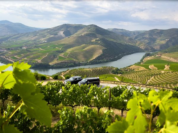 Douro Valley wine region