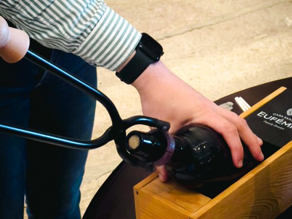 Região vinícola do Douro