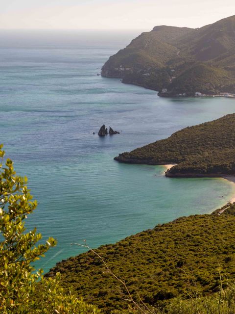 Tour vínico na Arrábida