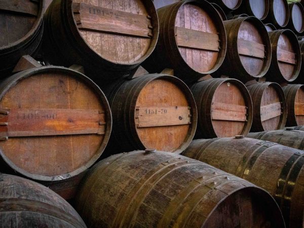 Wine Tour in Arrábida